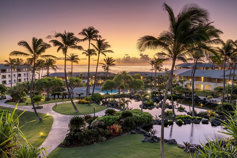 Tropical sunset oasis with palm-lined paths, water features, and ocean views
