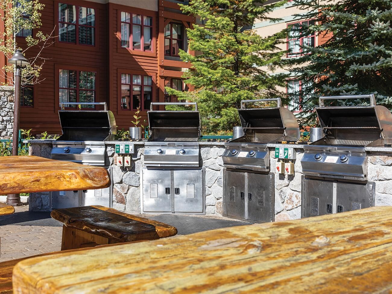 Outdoor BBQ area with multiple grills and rustic picnic seating