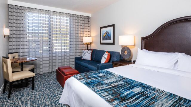 Bright, stylish guest room with sofa seating and plenty of natural light