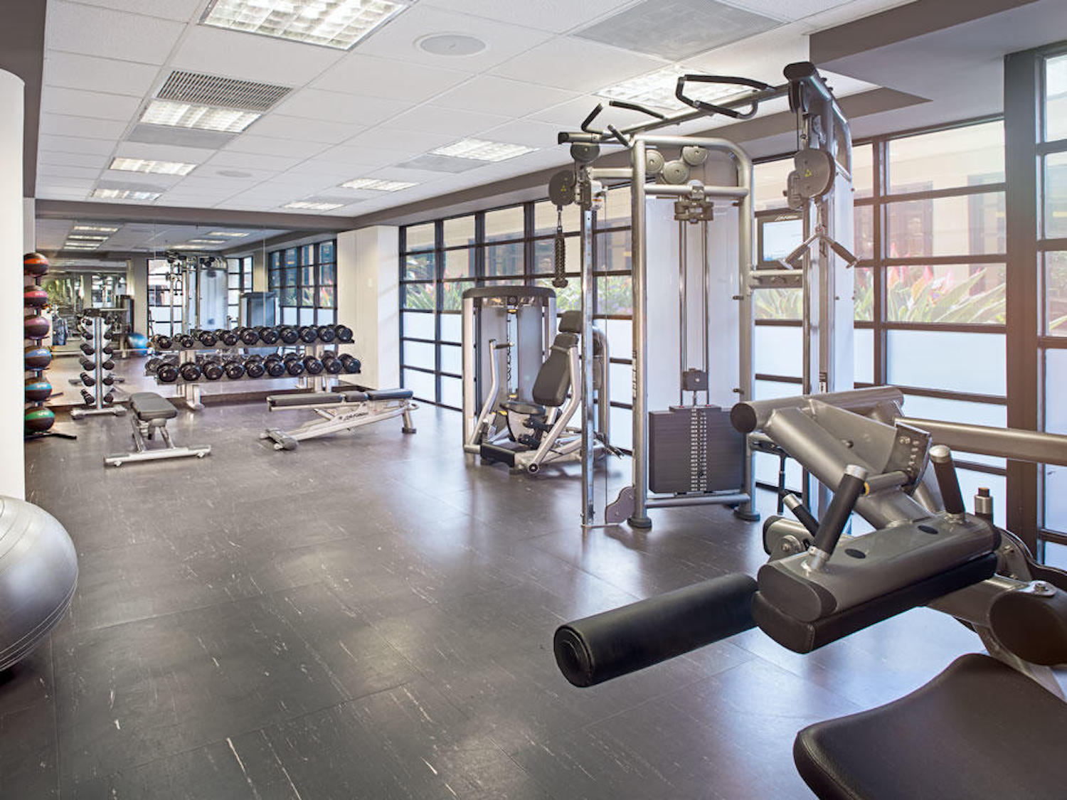 Bright, fully equipped fitness room with weights and strength machines