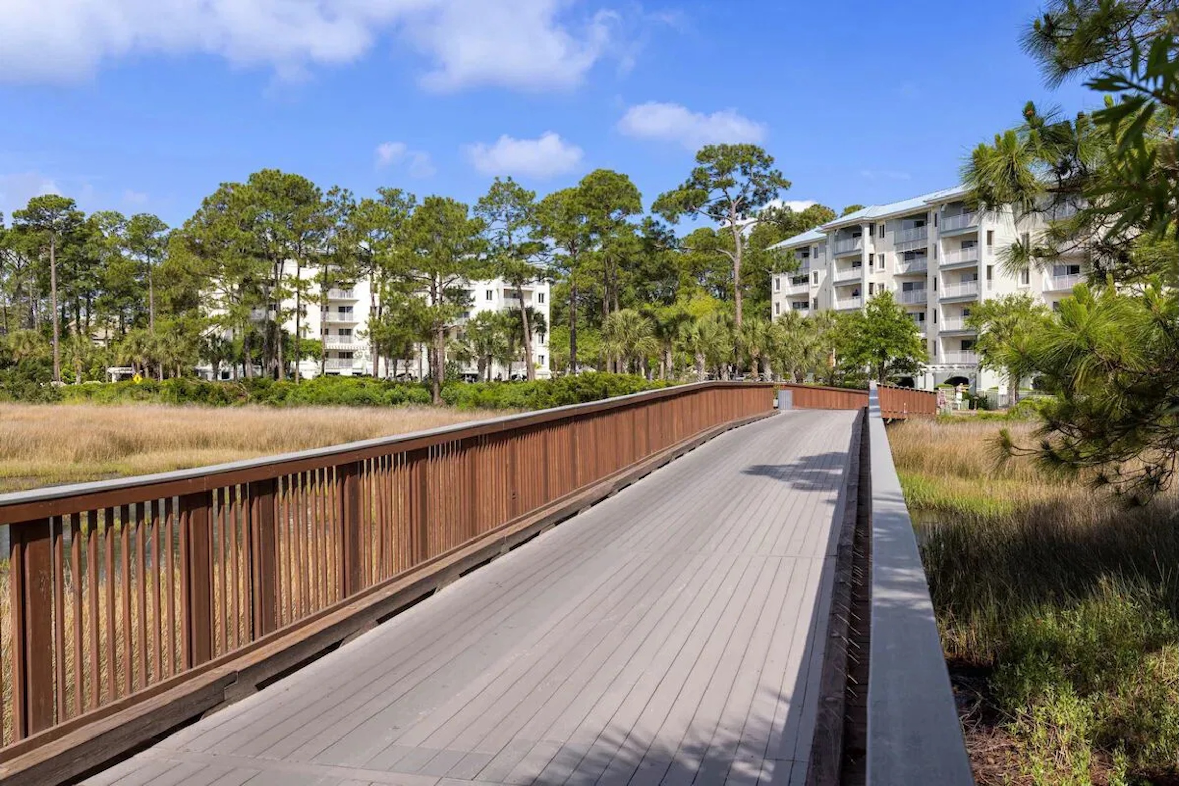 Scenic boardwalk entry through tranquil marsh and coastal greenery