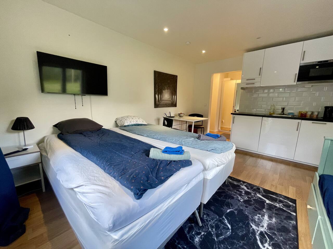 Comfortable Flat Near the Airport 1001