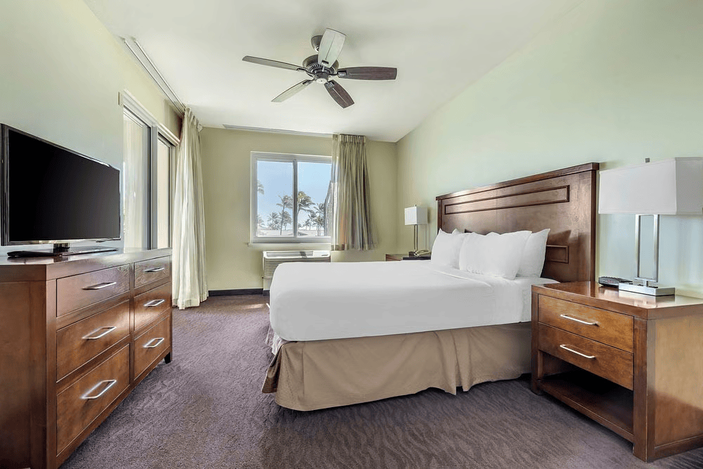 Bright, spacious king room with palm views and warm wood furnishings