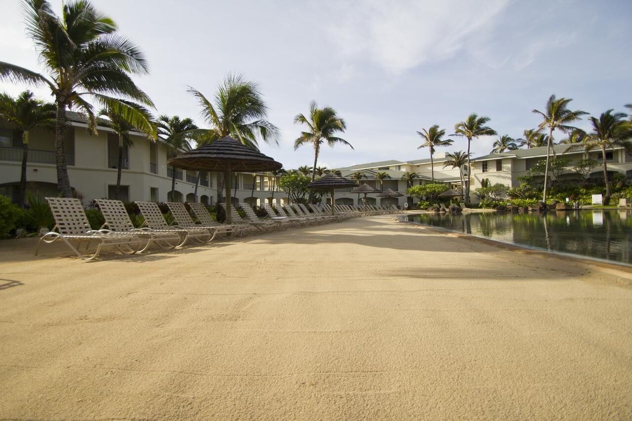Resort-style pool deck with palm trees, loungers, and tropical charm