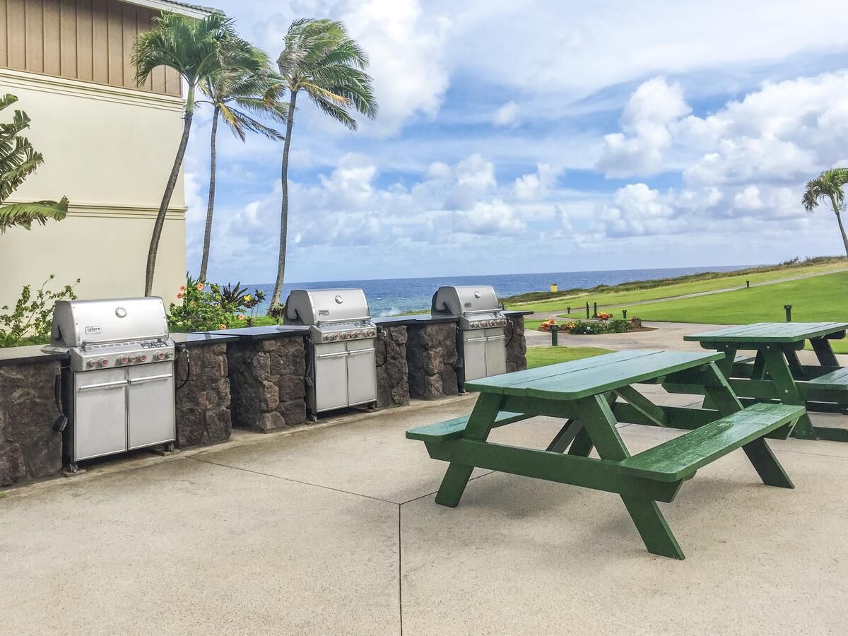 Oceanview BBQ area with picnic tables and breezy tropical scenery