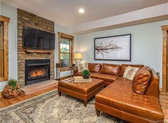 Biltmore Village · Fireplace · Treetop Porch