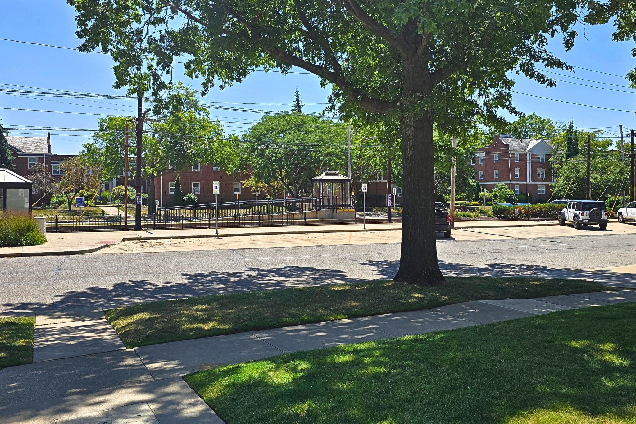 Peaceful tree-lined street across from a charming park and green space