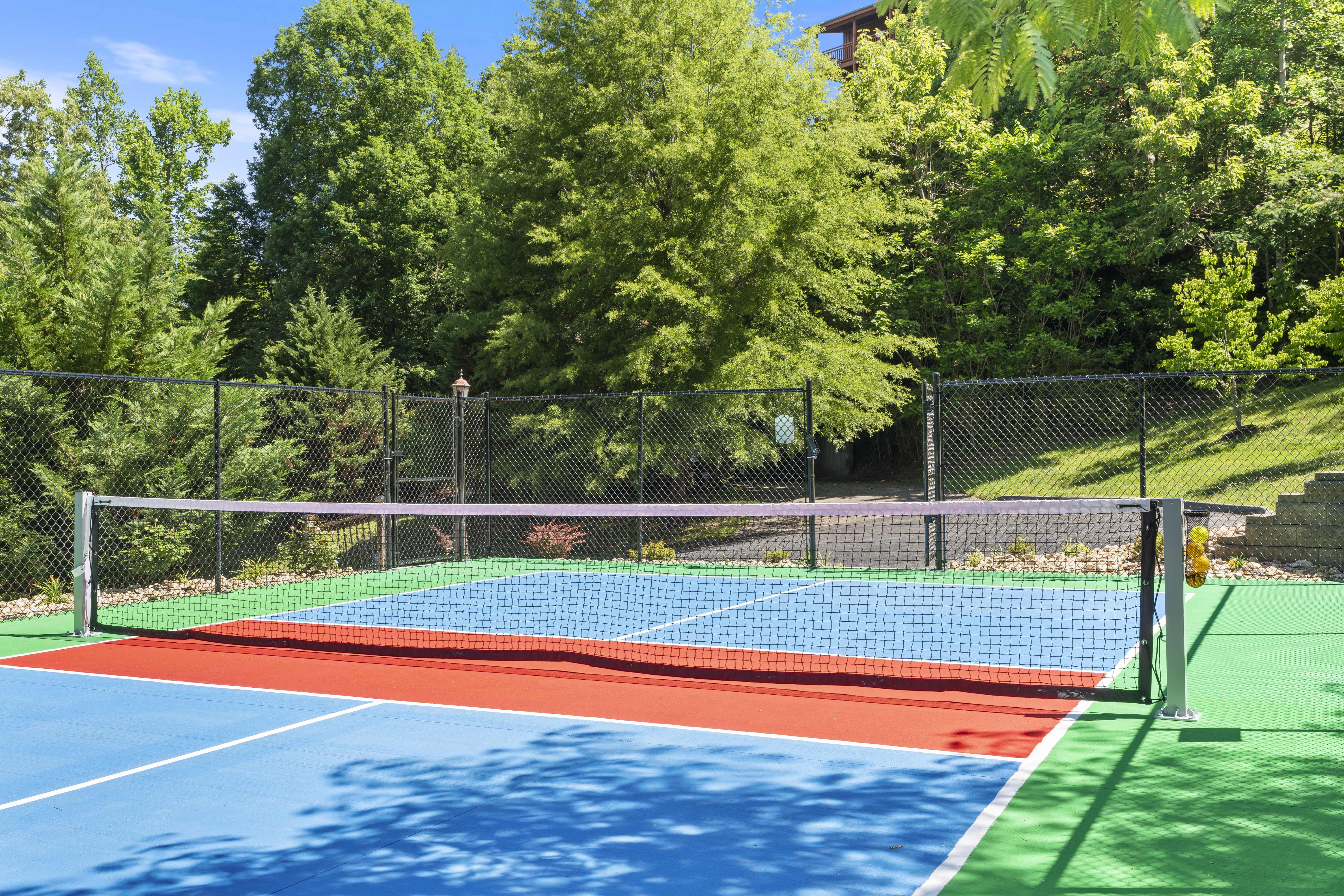The shared community pickleball court bordered by trees.