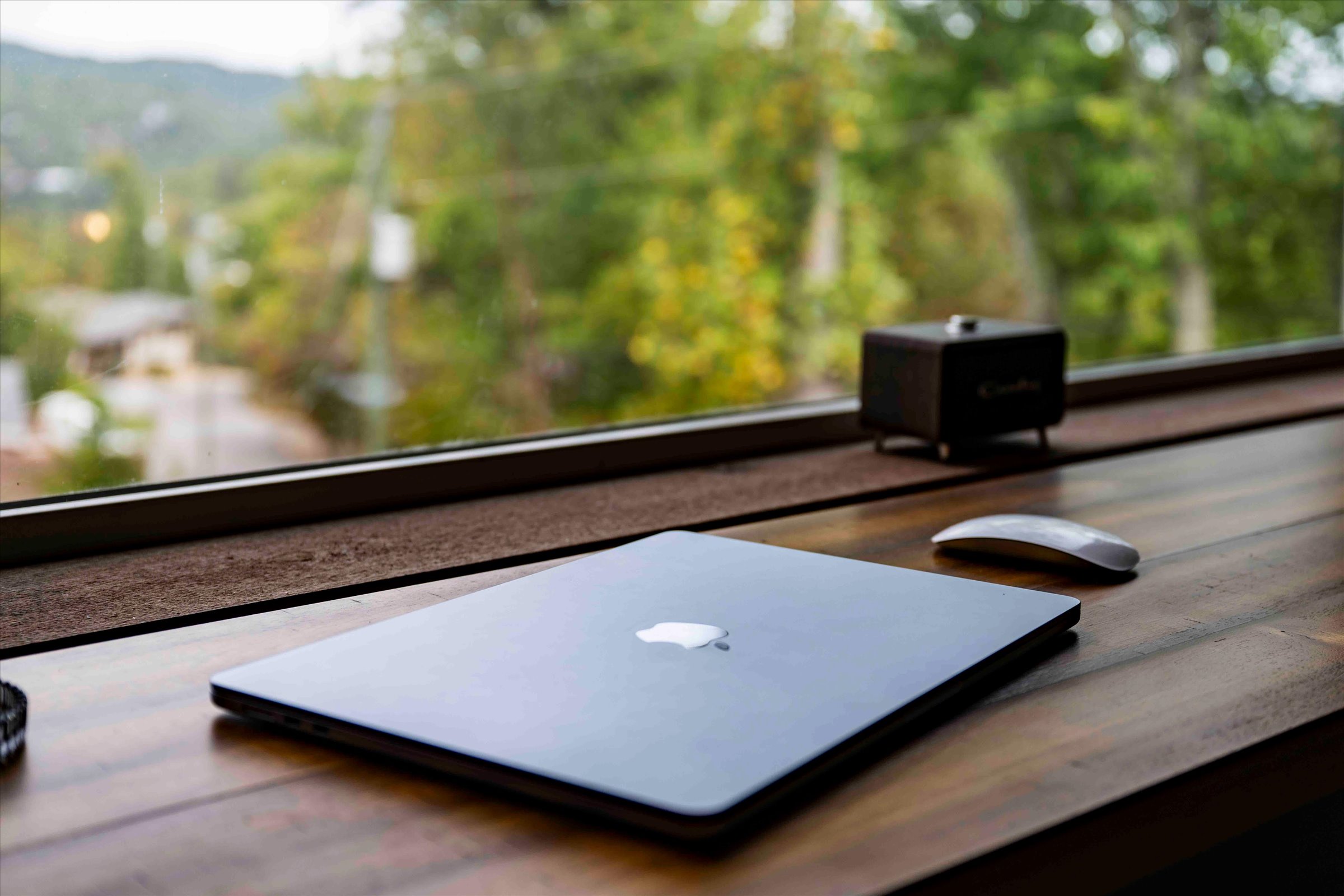 Bright window-side workspace with peaceful tree views
