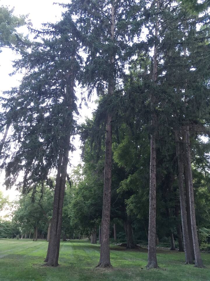 Stocks Park, a beautiful touch of nature in the center of town.