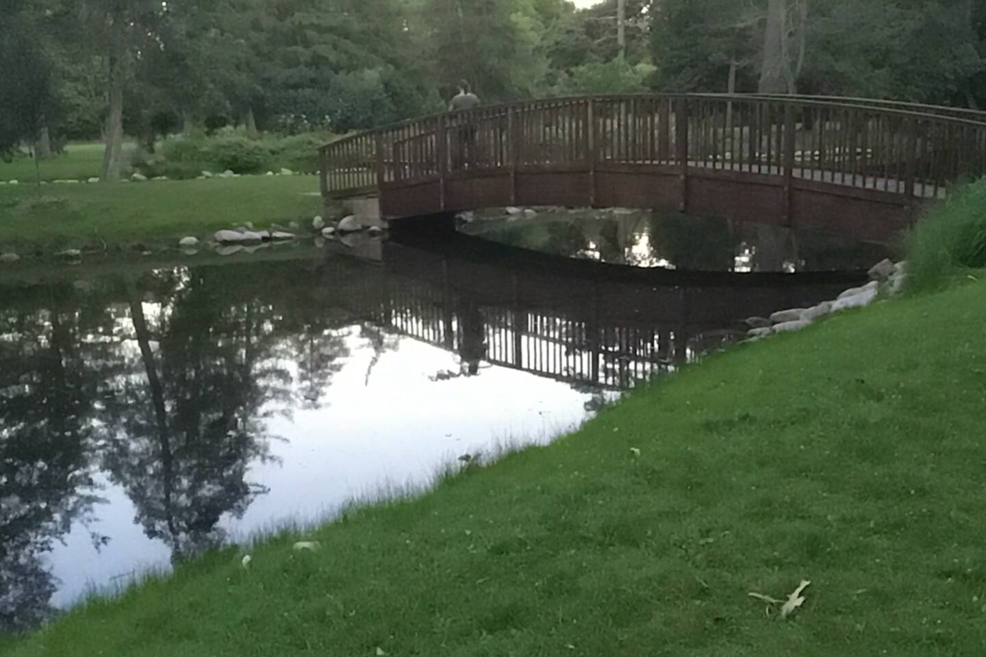 Misty pond scene in Stocks Park at dusk.
Only half a block away.