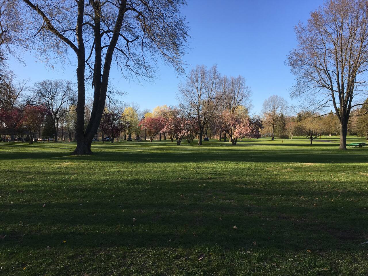 Nearby parks