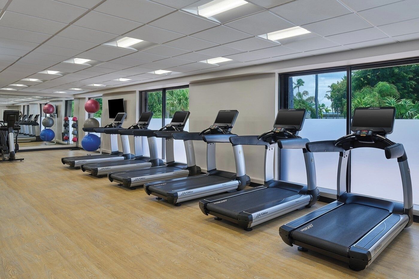 Fitness, Gym, Exercises Equipment