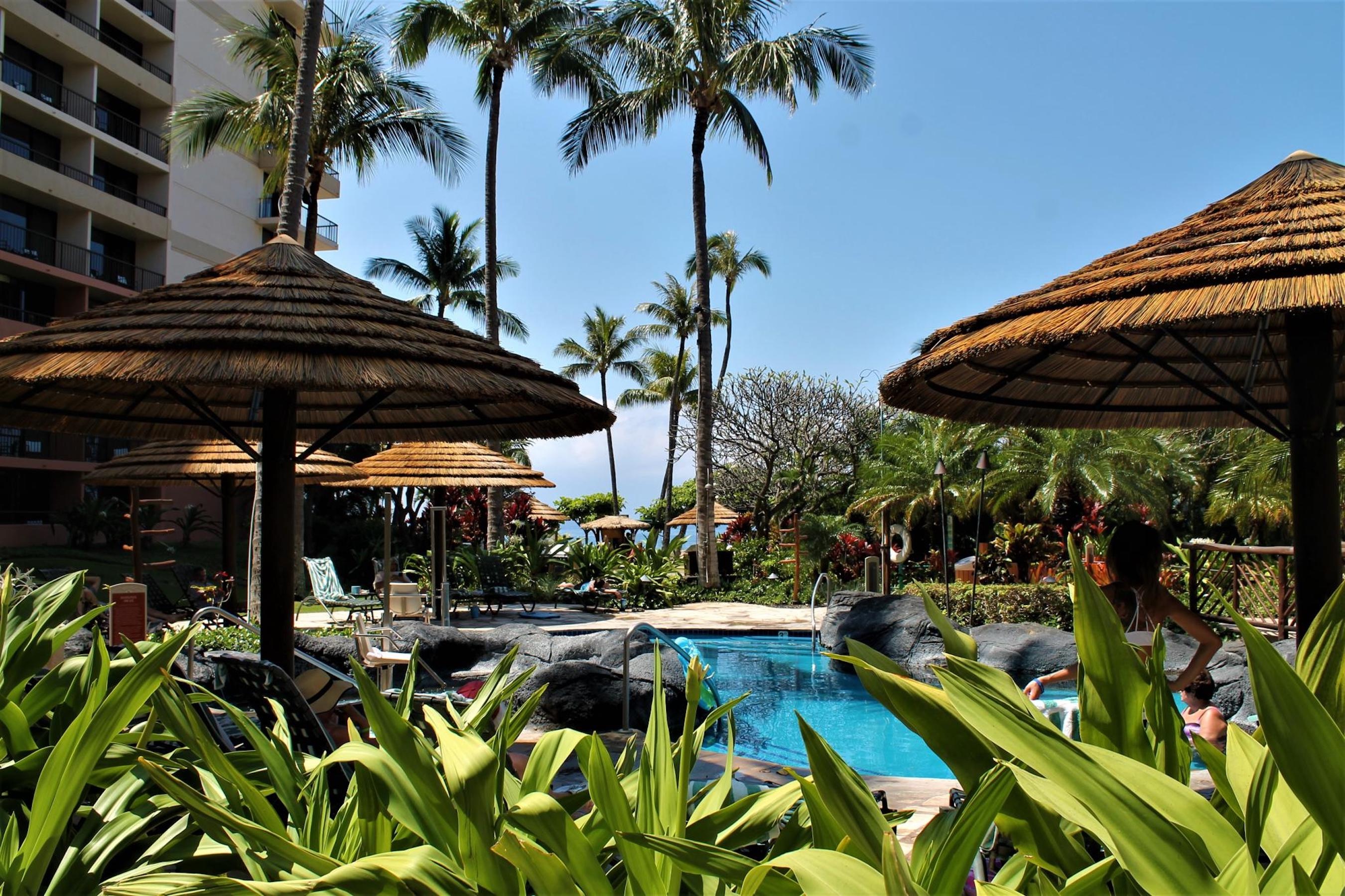 Tropical pool oasis with palm trees, lush gardens, and shaded loungers
