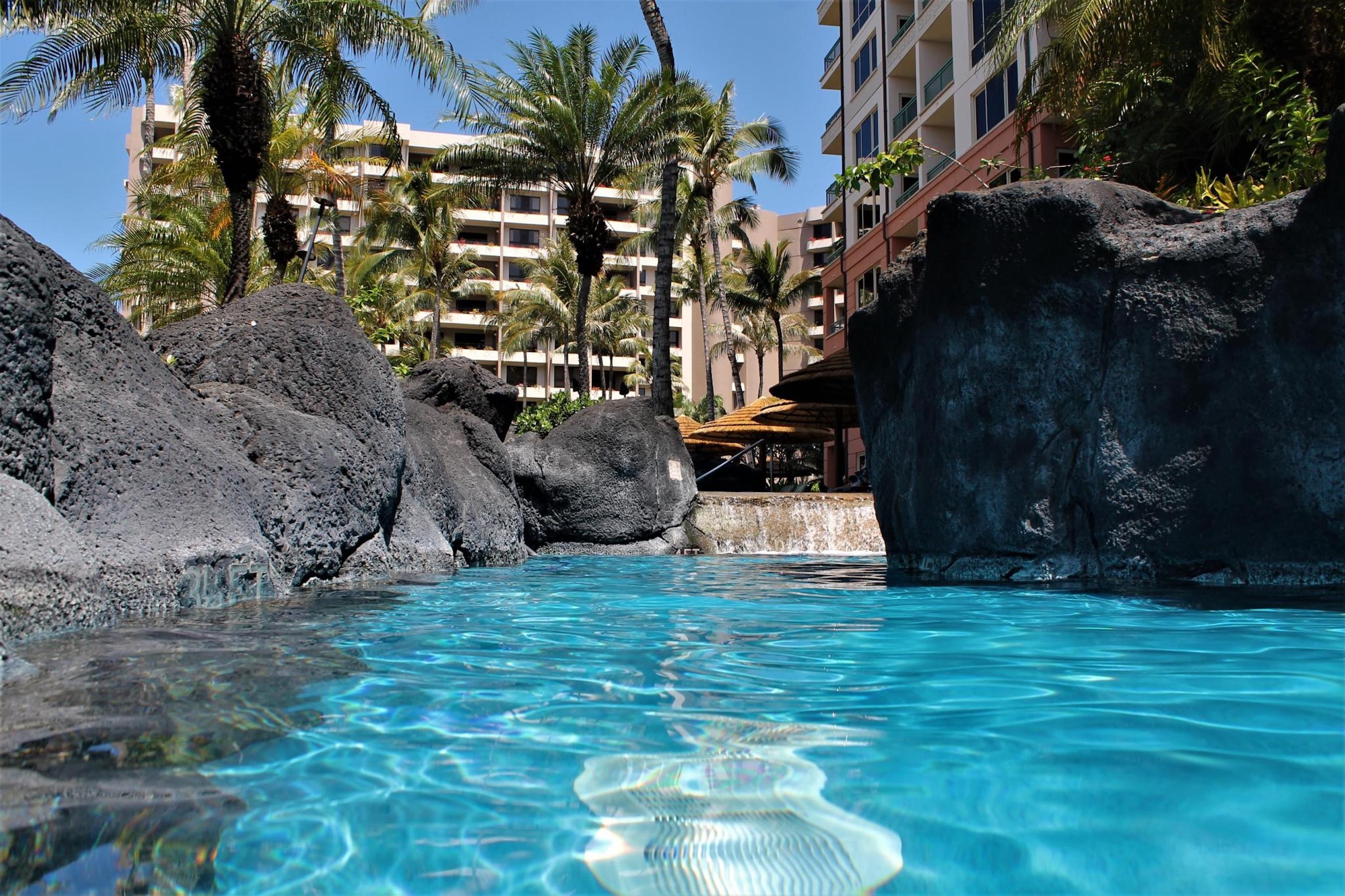 Resort-style tropical pool with lava rocks and swaying palm trees