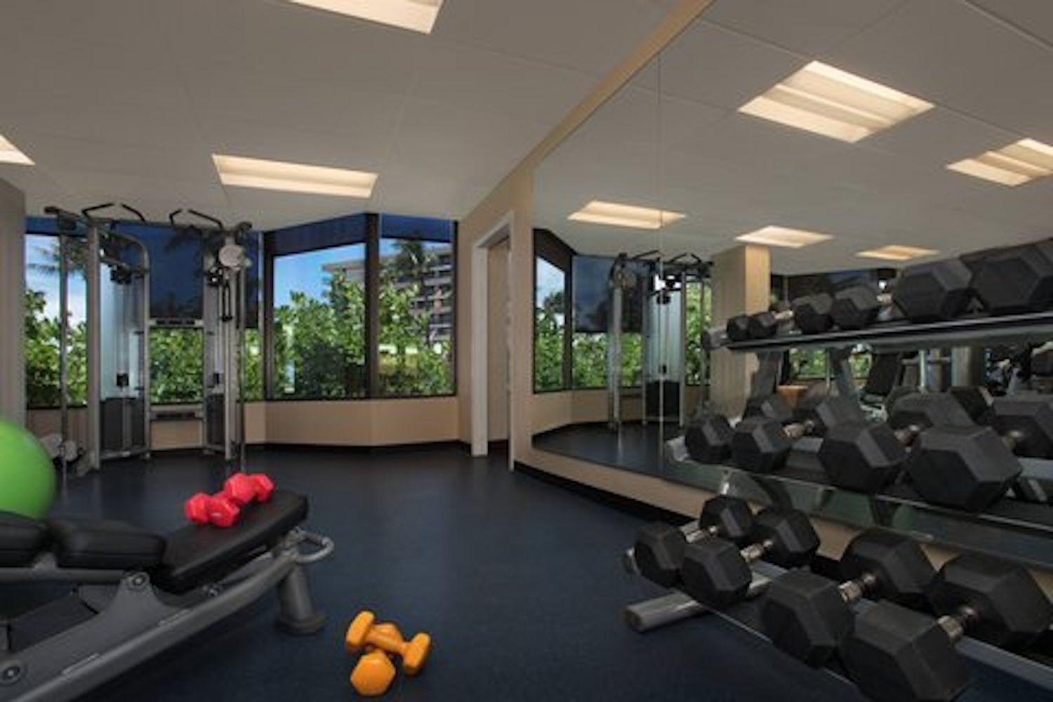 Bright on-site fitness room with weights, mirrors, and leafy views