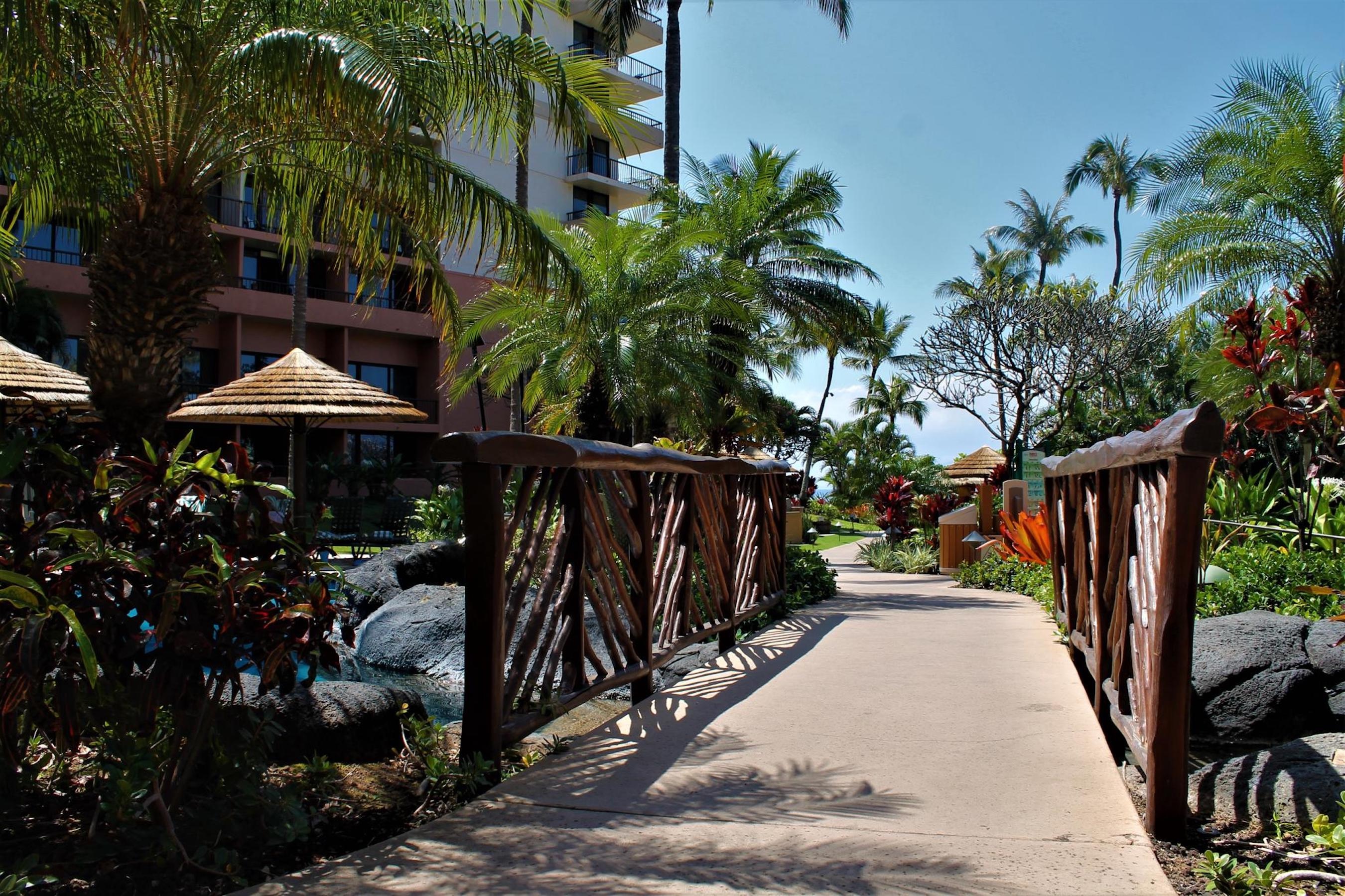 Tropical garden walkway with charming bridge and lush resort ambiance