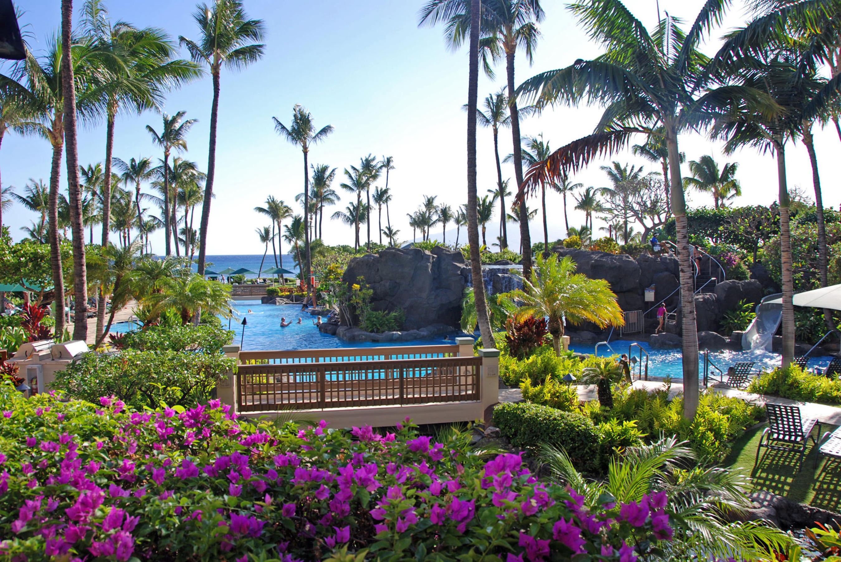 Tropical lagoon-style pools with palms, lush gardens, and ocean views