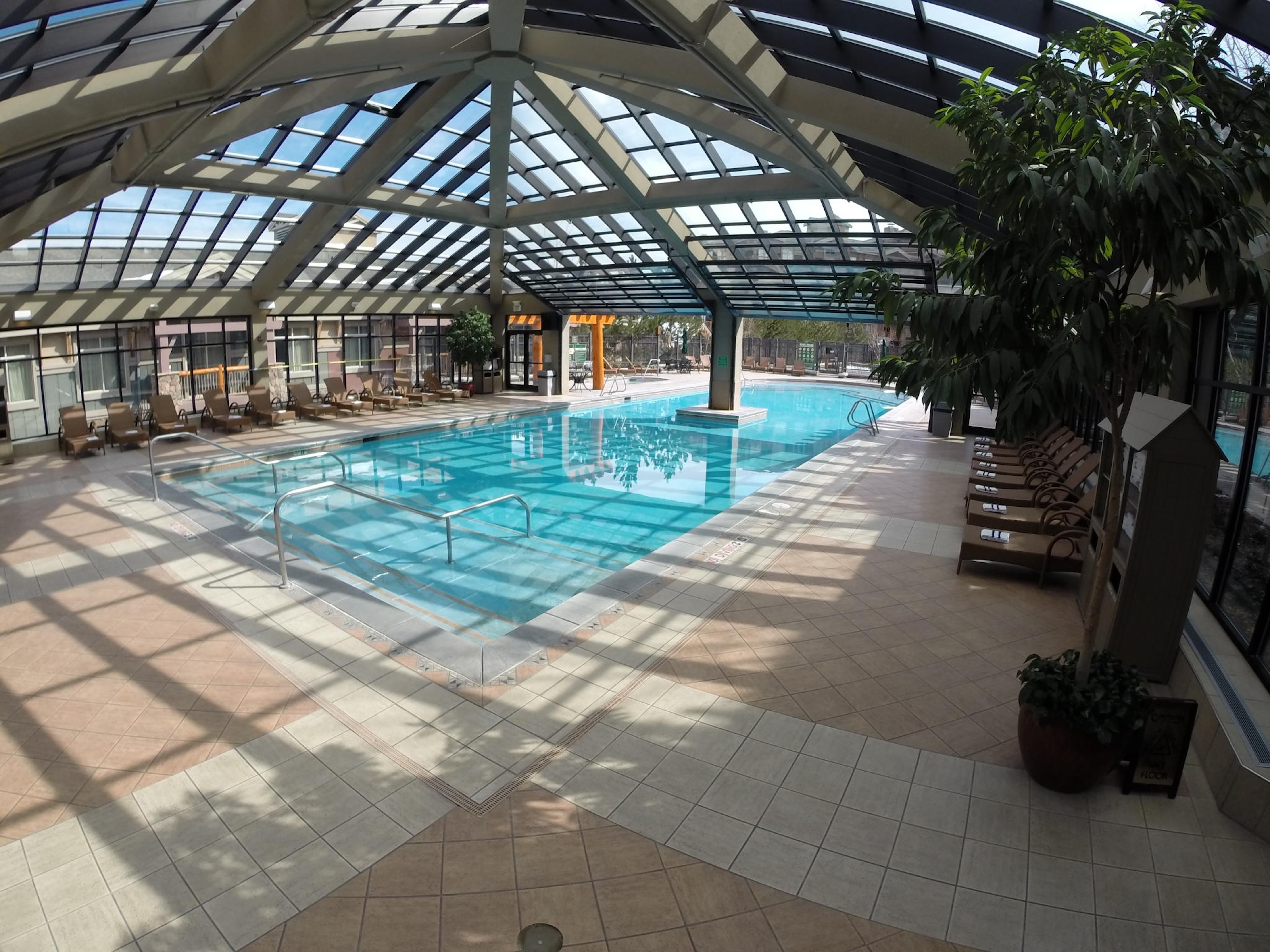 Bright indoor pool under a stunning glass atrium with lounge seating