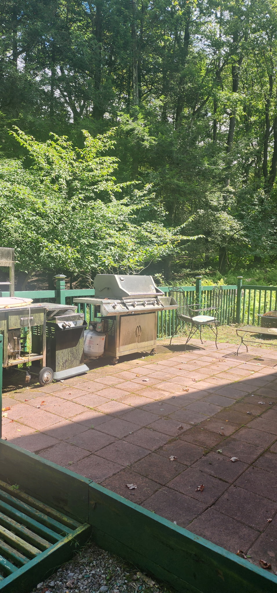 Private wooded patio with grill for relaxing outdoor cookouts
