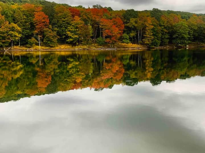 Serene lake views with stunning fall foliage reflections