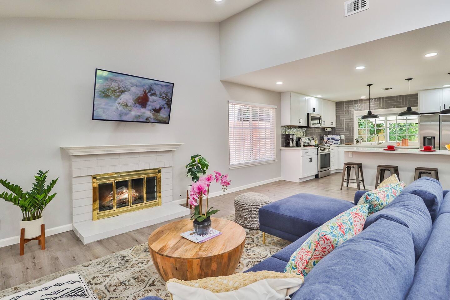 OPEN PLAN LIVING SPACE, FIREPLACE AND TV