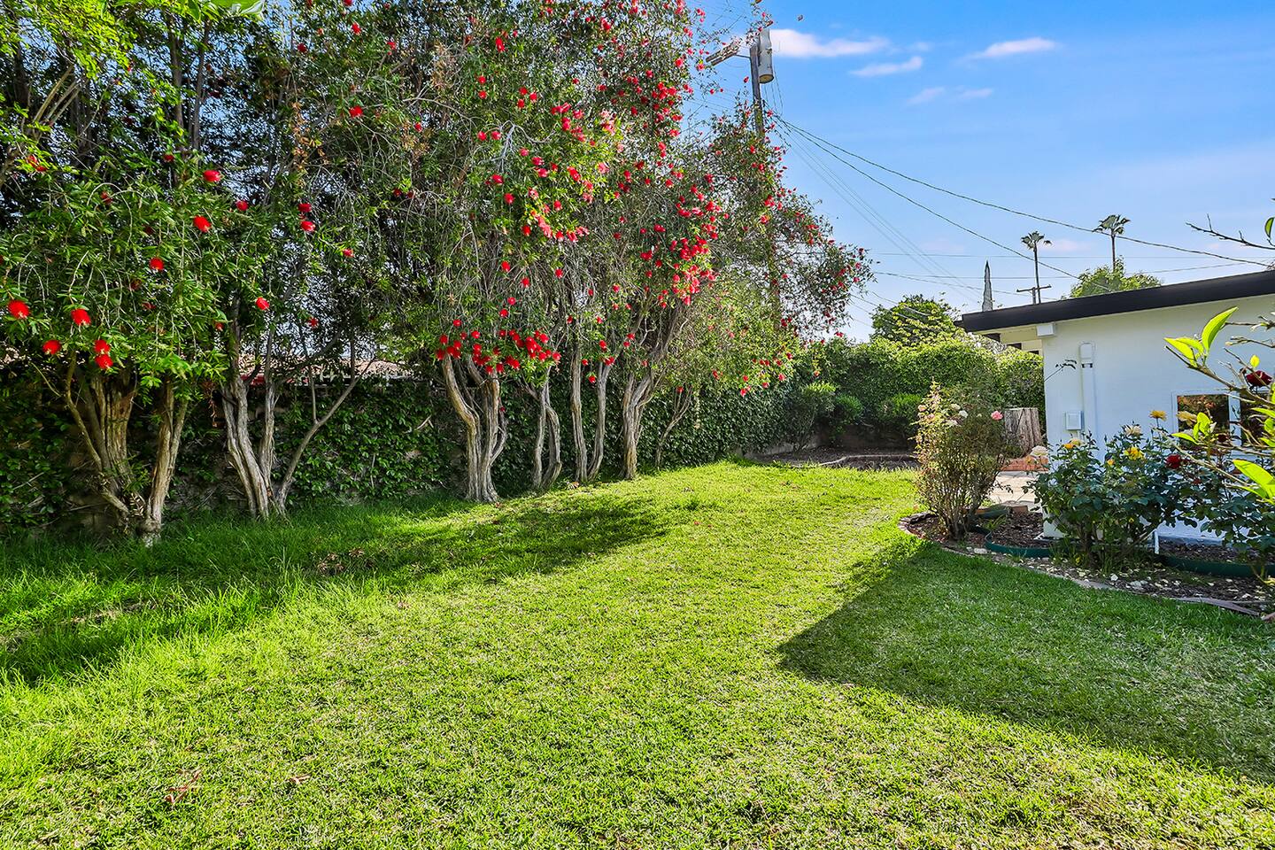 SPACIOUS BACKYARD, OUTDOOR SPACE