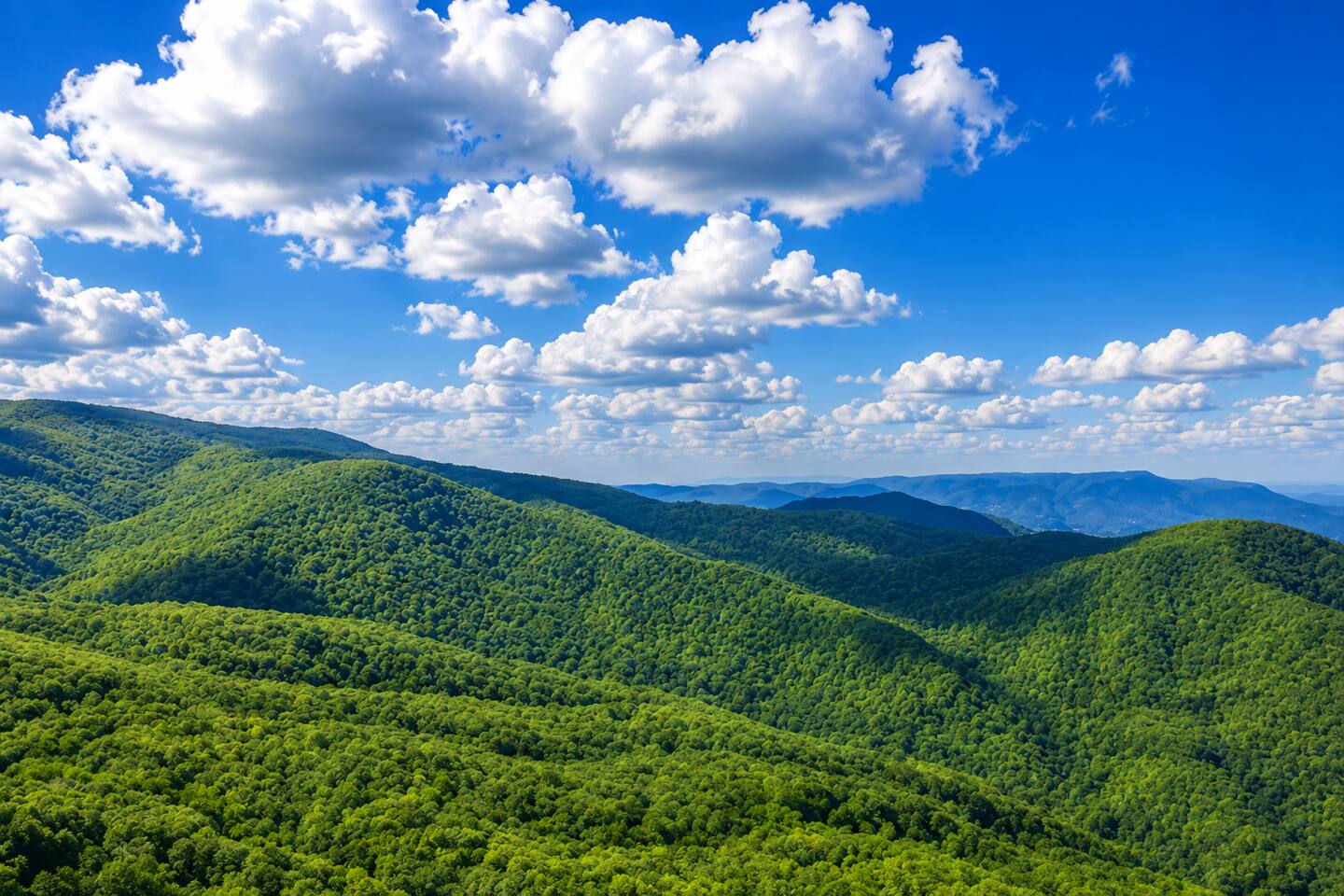 Wake up to views like this! Sweeping Smoky Mountain scenery creates an unforgettable backdrop for your family getaway. From peaceful mornings to incredible sunsets, these mountain views are the kind of vacation memories your family will never forget