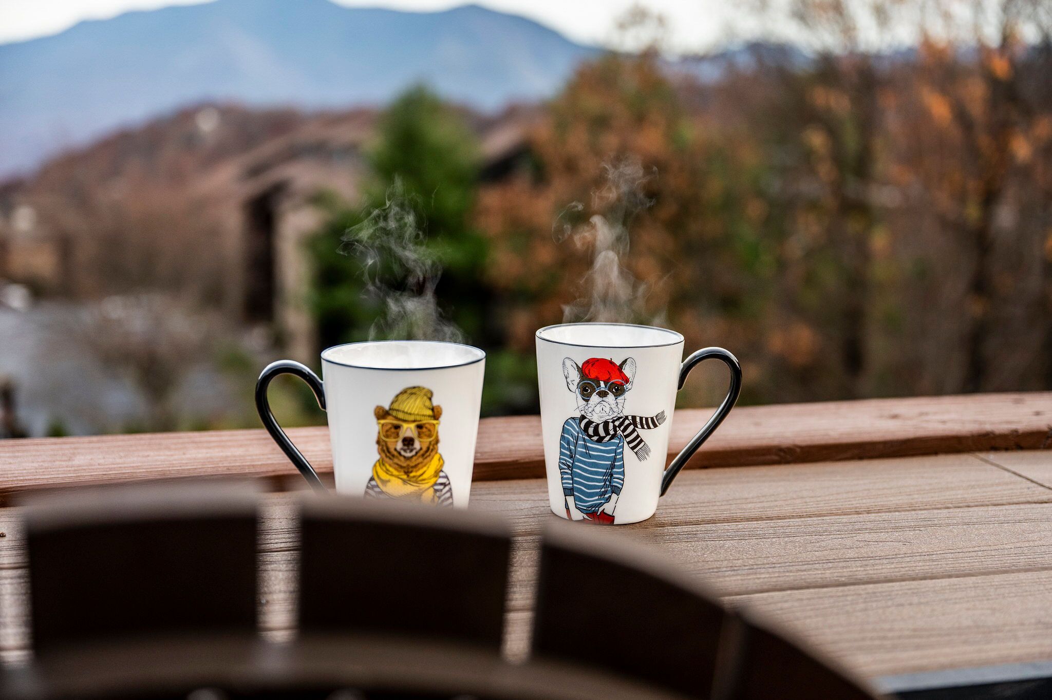 Enjoys nice cup of coffee while enjoying the beautiful view of Mt.LeConte