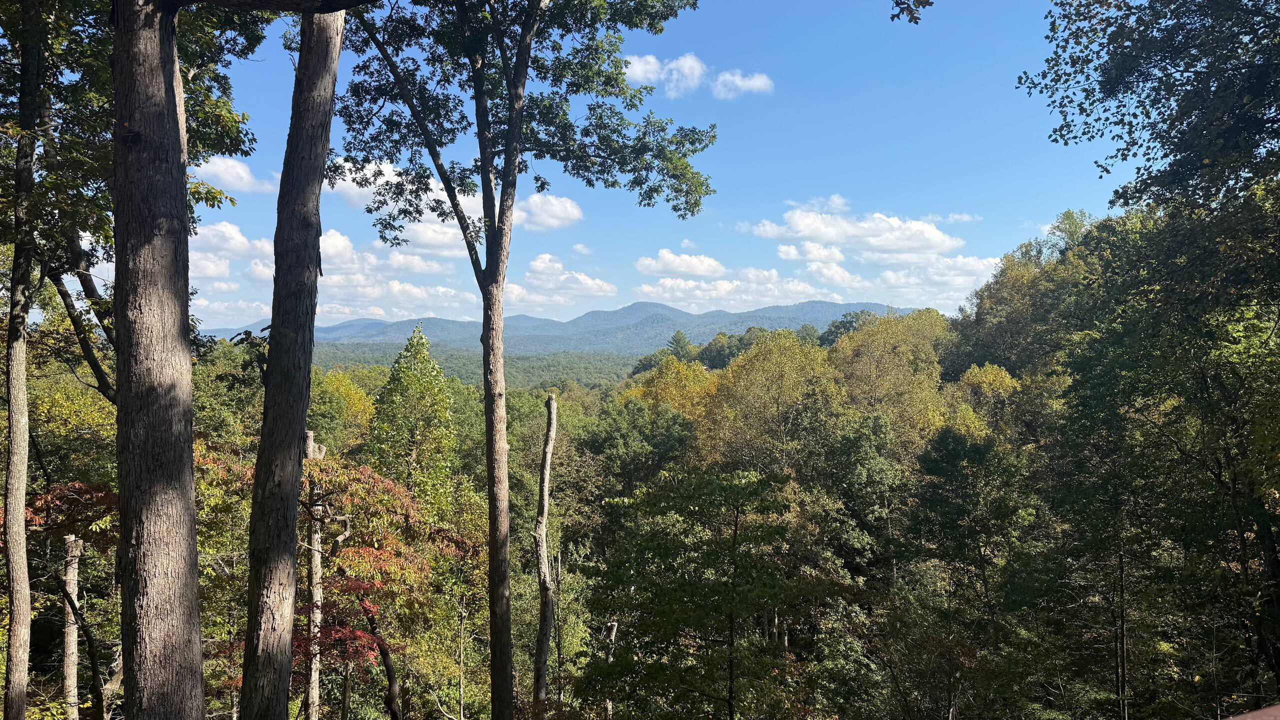 Darby’s Ridge | Mountain Retreat in Blue Ridge