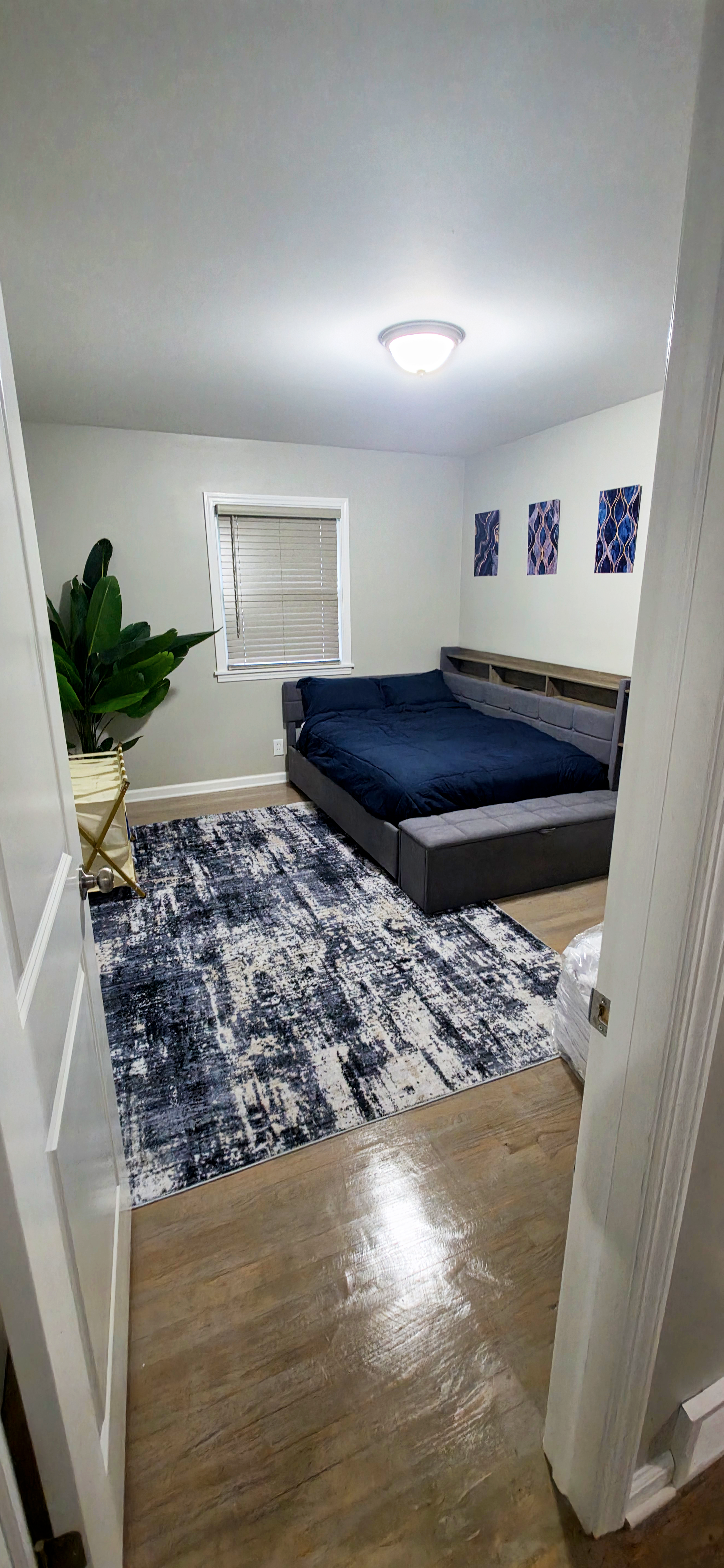 Cozy modern bedroom with navy accents, stylish rug, and inviting decor