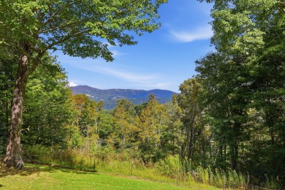 Private yard with stunning mountain views and peaceful wooded surroundings