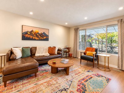 Living room with leather sofa and colorful rug
