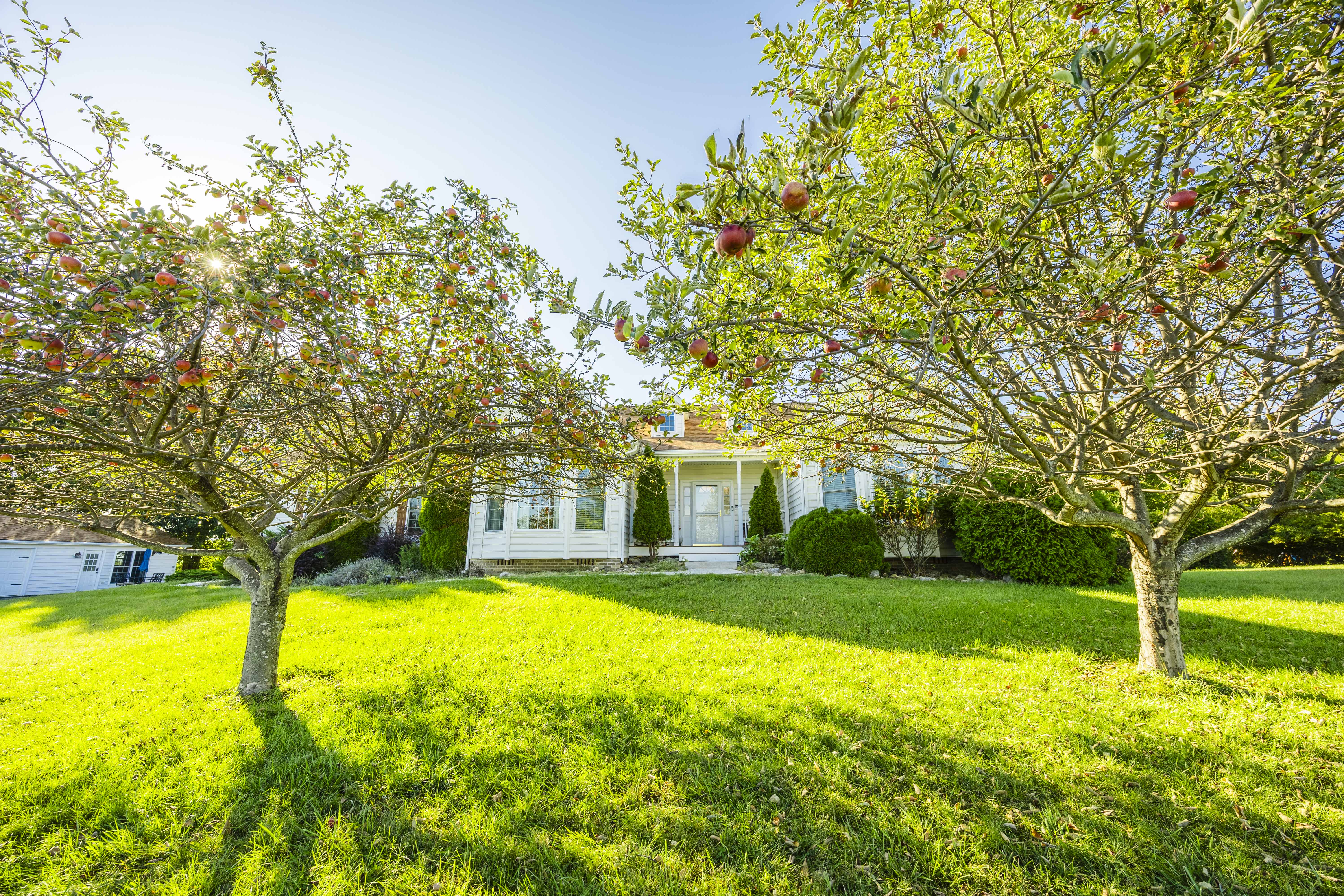 Charming home with sunny lawn, fruit trees, and welcoming curb appeal