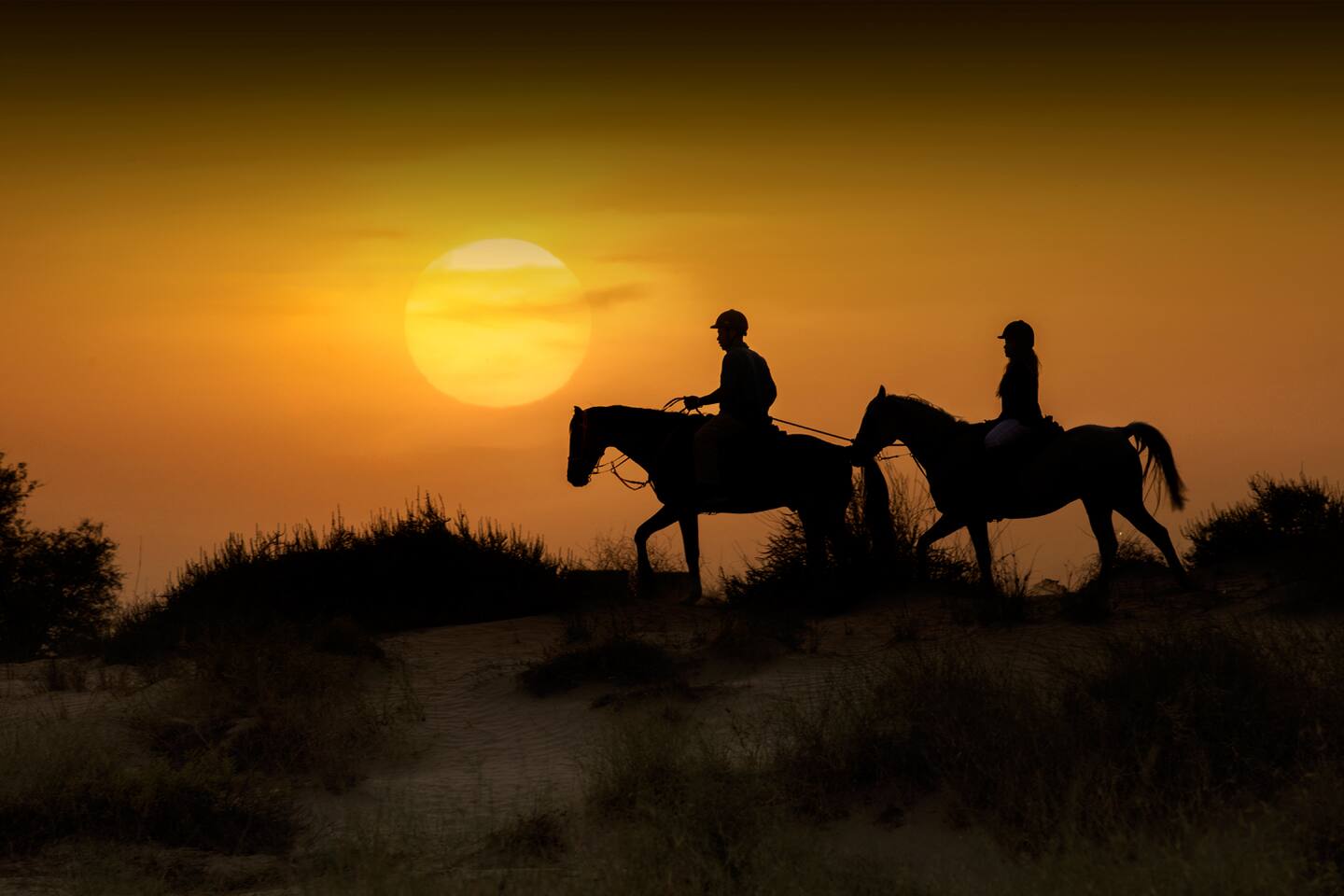Embark on unforgettable horseback riding adventures through Tucson's pristine desert landscapes at sunset, and experience the authentic spirit of the American Southwest together.