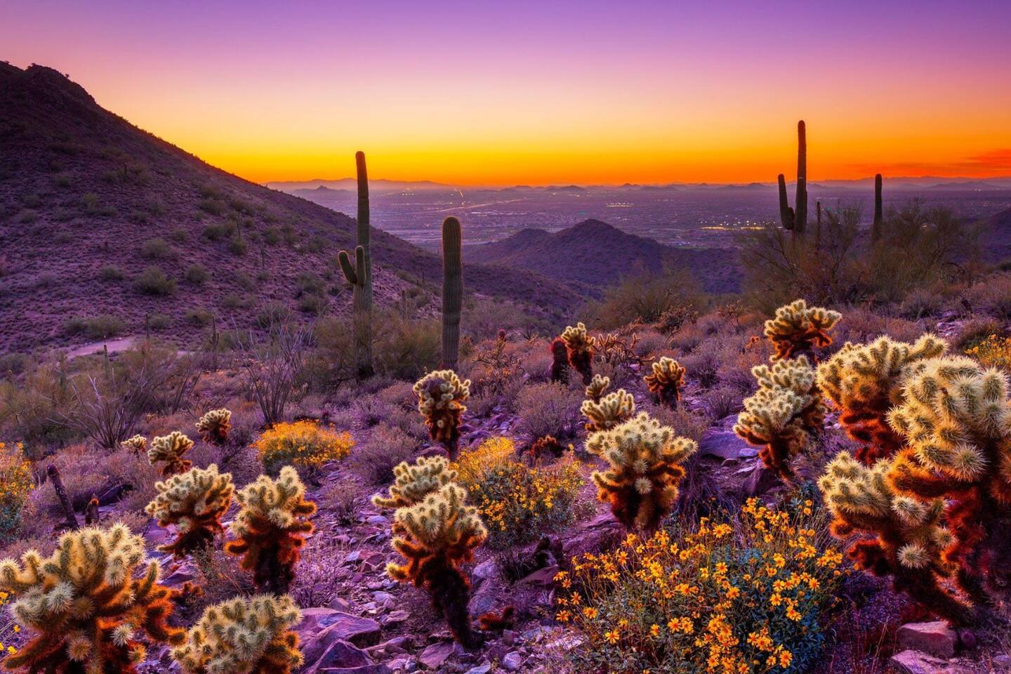 Gather with friends and family at Pomona Oasis, where the unforgettable beauty of Tucson sets the stage for days filled with exploration, connection, and unforgettable shared adventures, and evenings that begin with glorious desert sunsets.