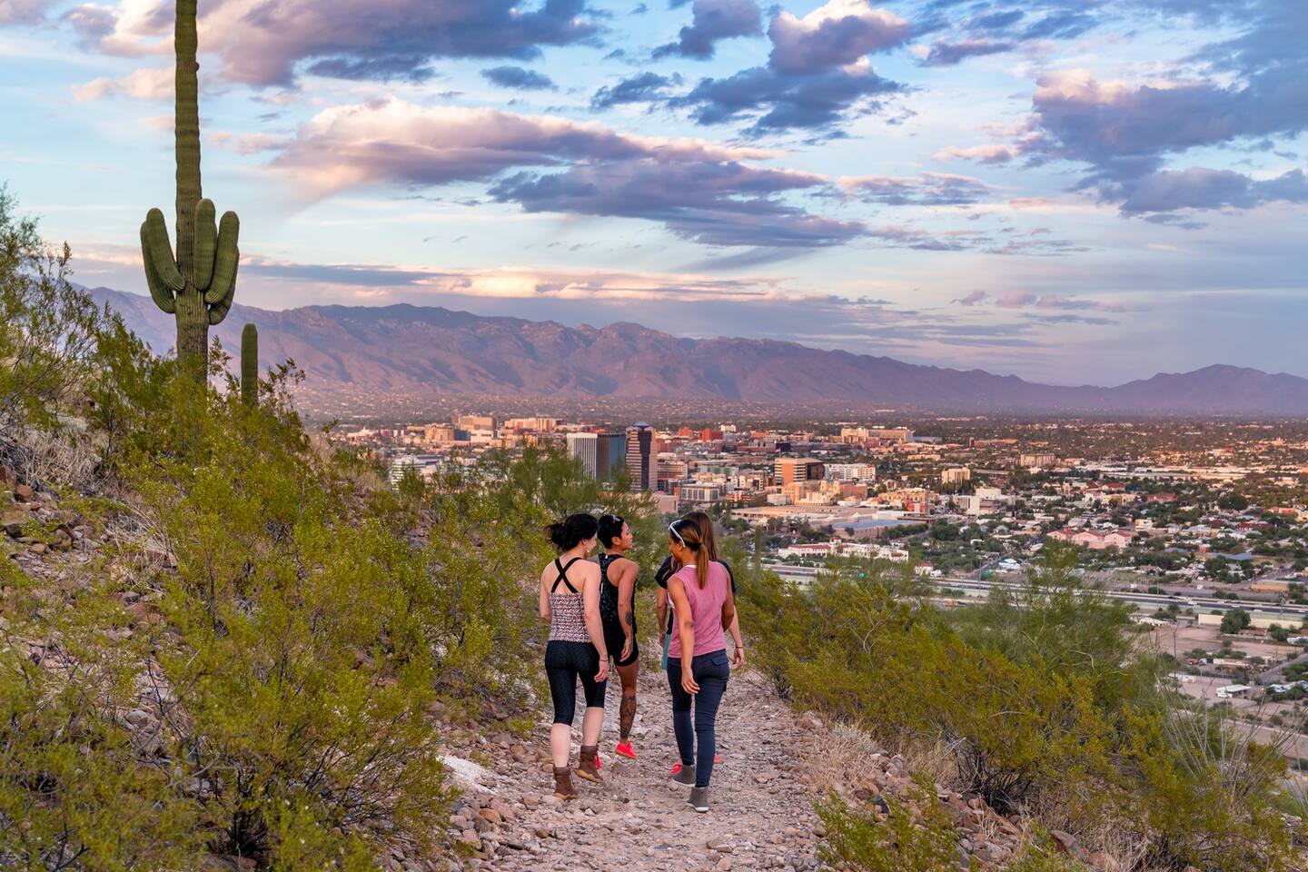 Explore Tucson's scenic hiking trails and desert overlooks with your group. The gorgeous panoramic city views and breathtaking sunsets create wonderful moments for bonding and adventure.