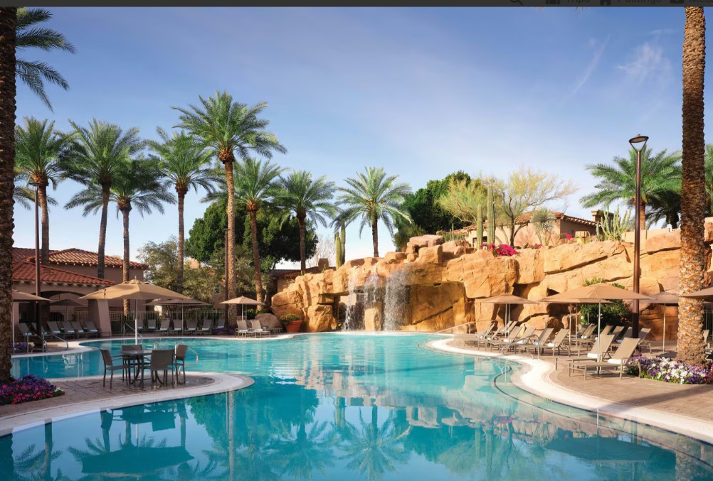Resort-style pool with palm trees, waterfall, and sunny lounge seating