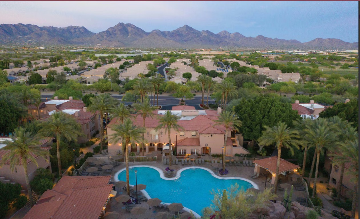 Resort-style pool oasis with palm trees and stunning mountain views