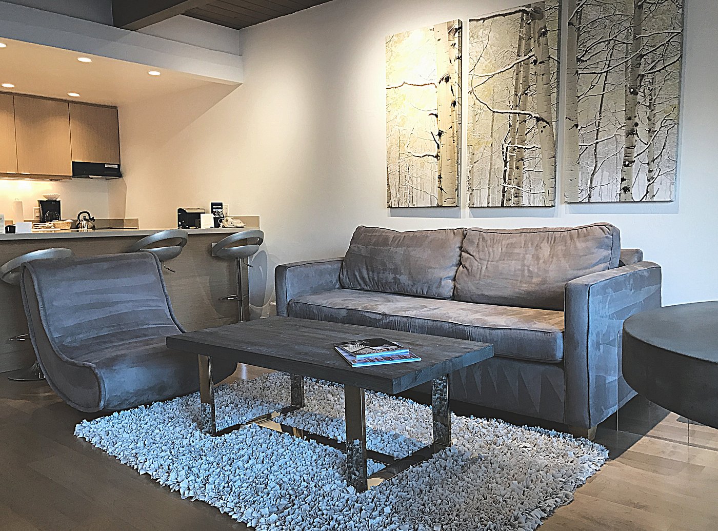 Modern cozy lounge with open kitchen and stylish bar seating