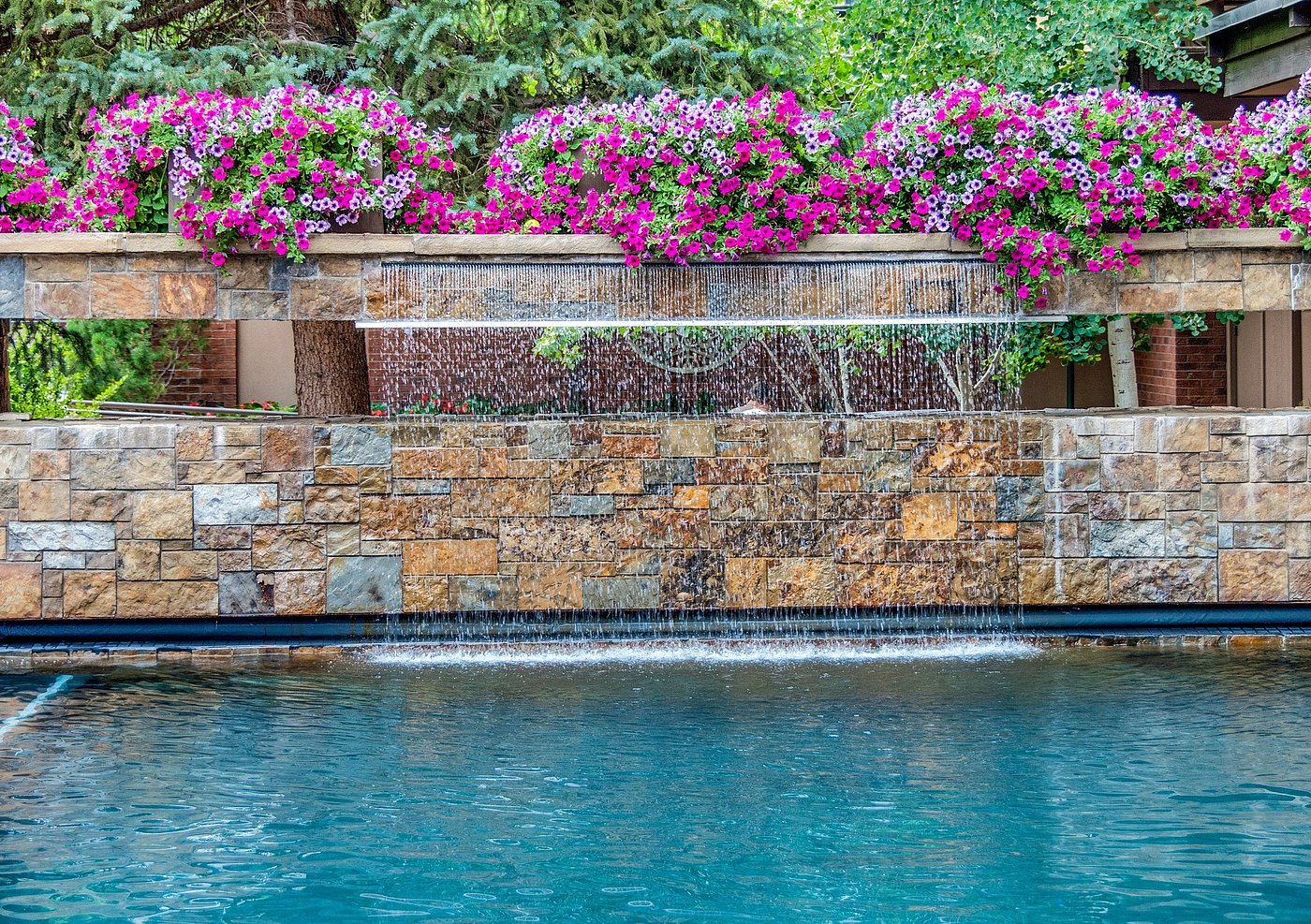 Resort-style pool with cascading waterfall and vibrant floral accents