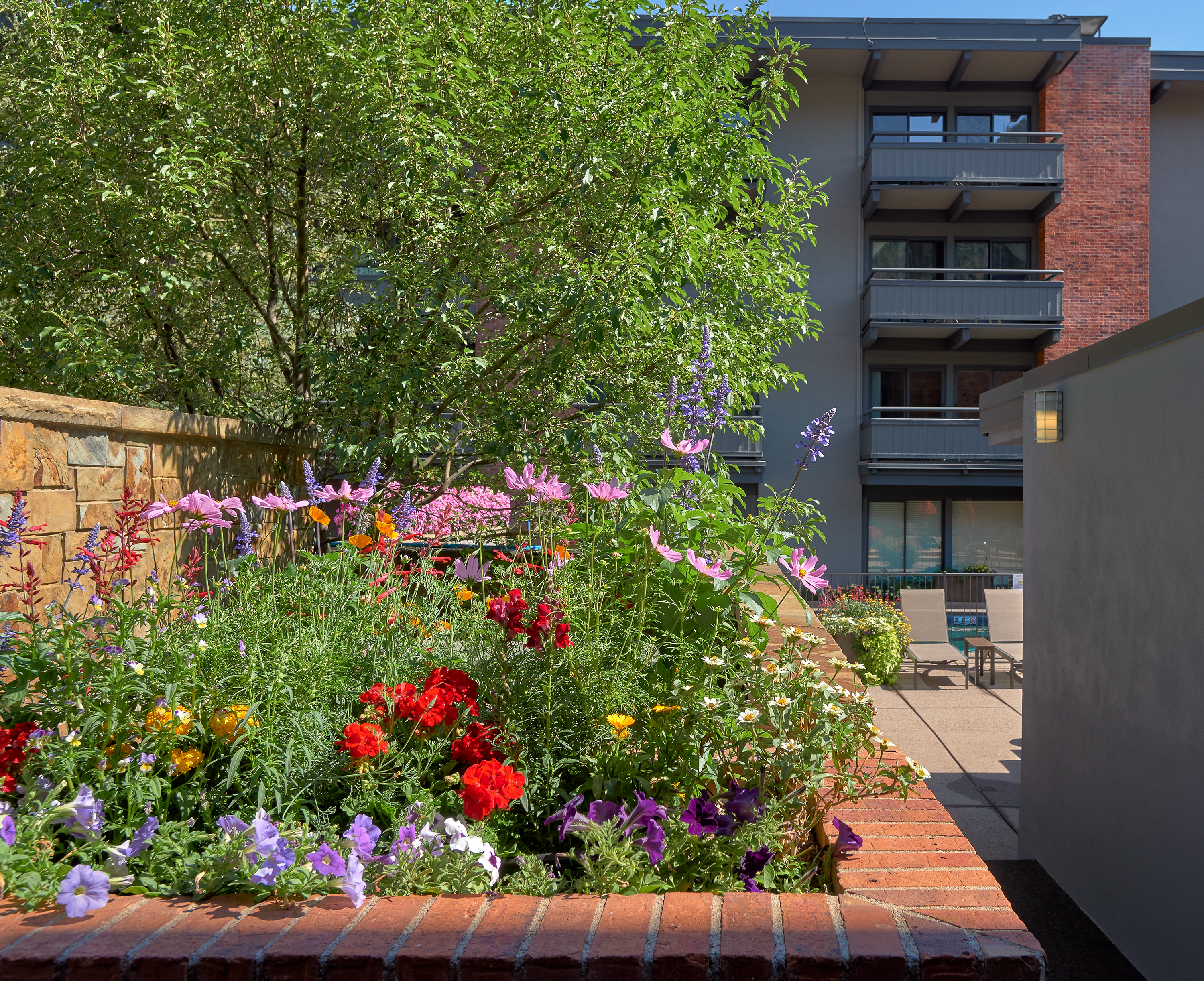 Colorful garden courtyard with relaxing outdoor seating and balconies