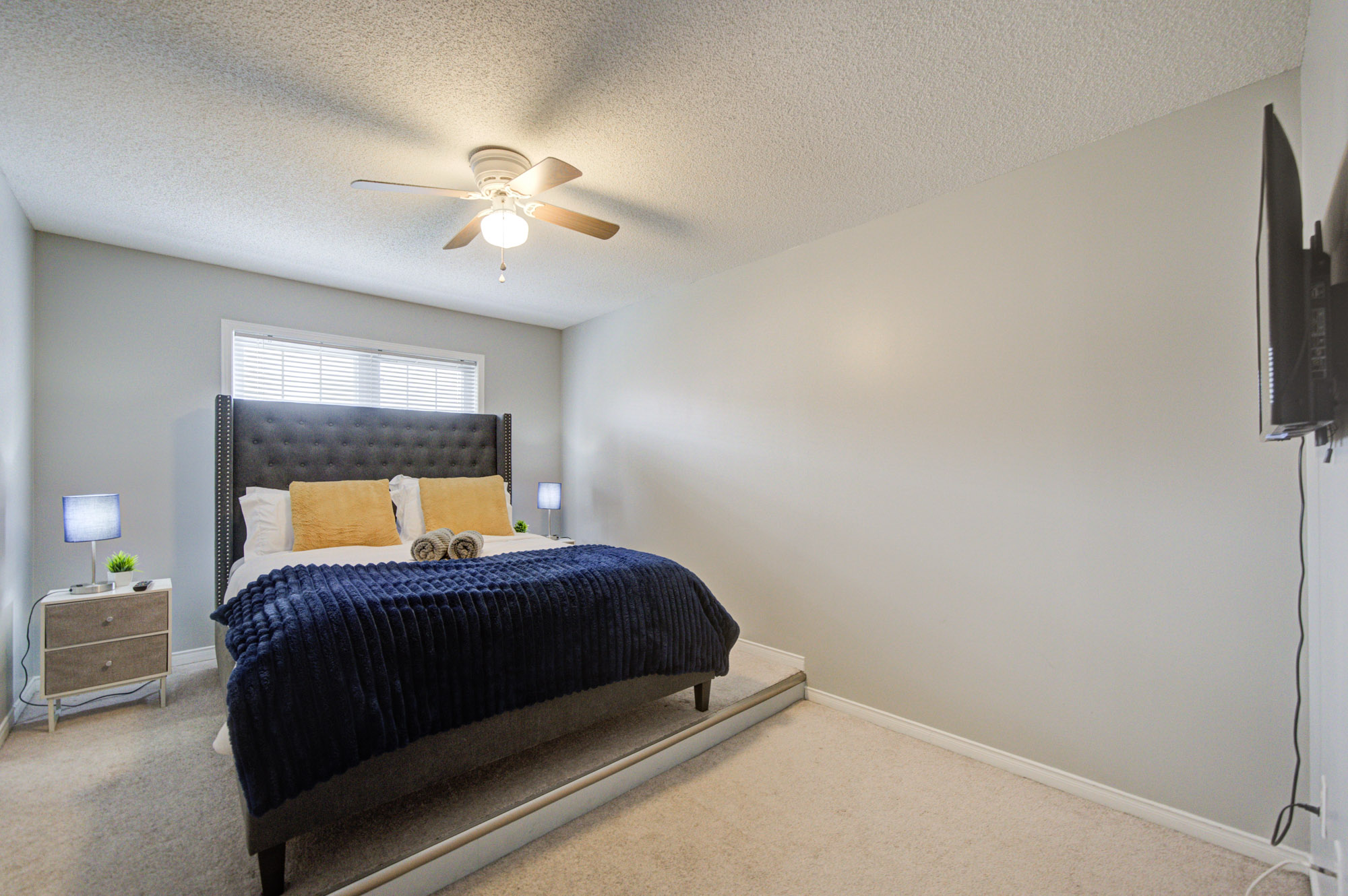 Cozy modern bedroom with plush bedding, TV, and natural light