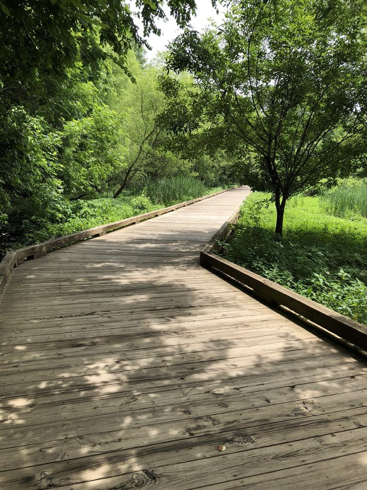 McAlpine Creek Greenway, a 9-minute walk from the Garden House
