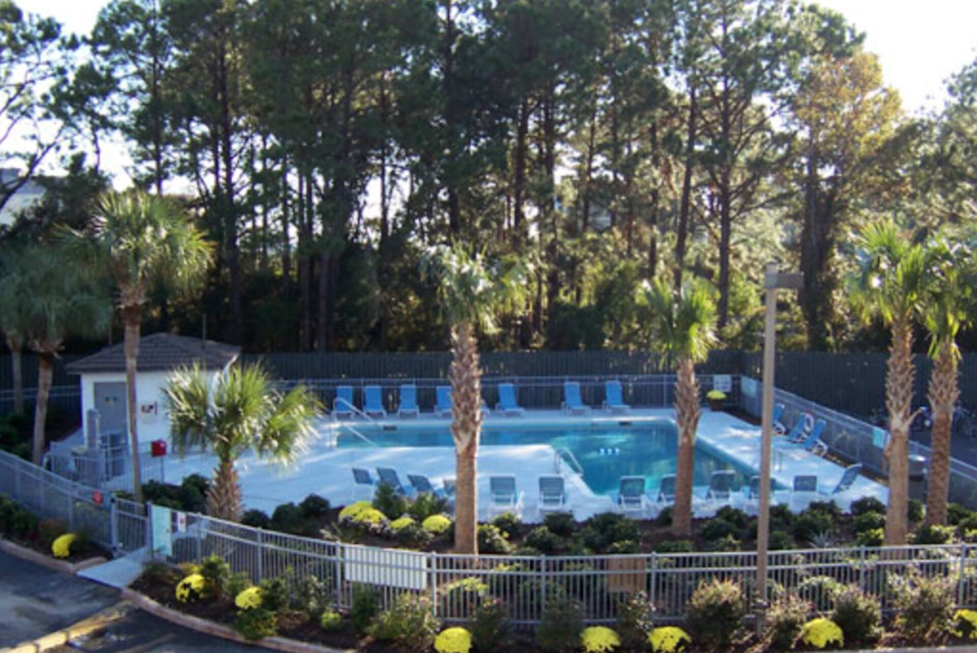 Resort-style pool oasis with palm trees, loungers, and peaceful surroundings