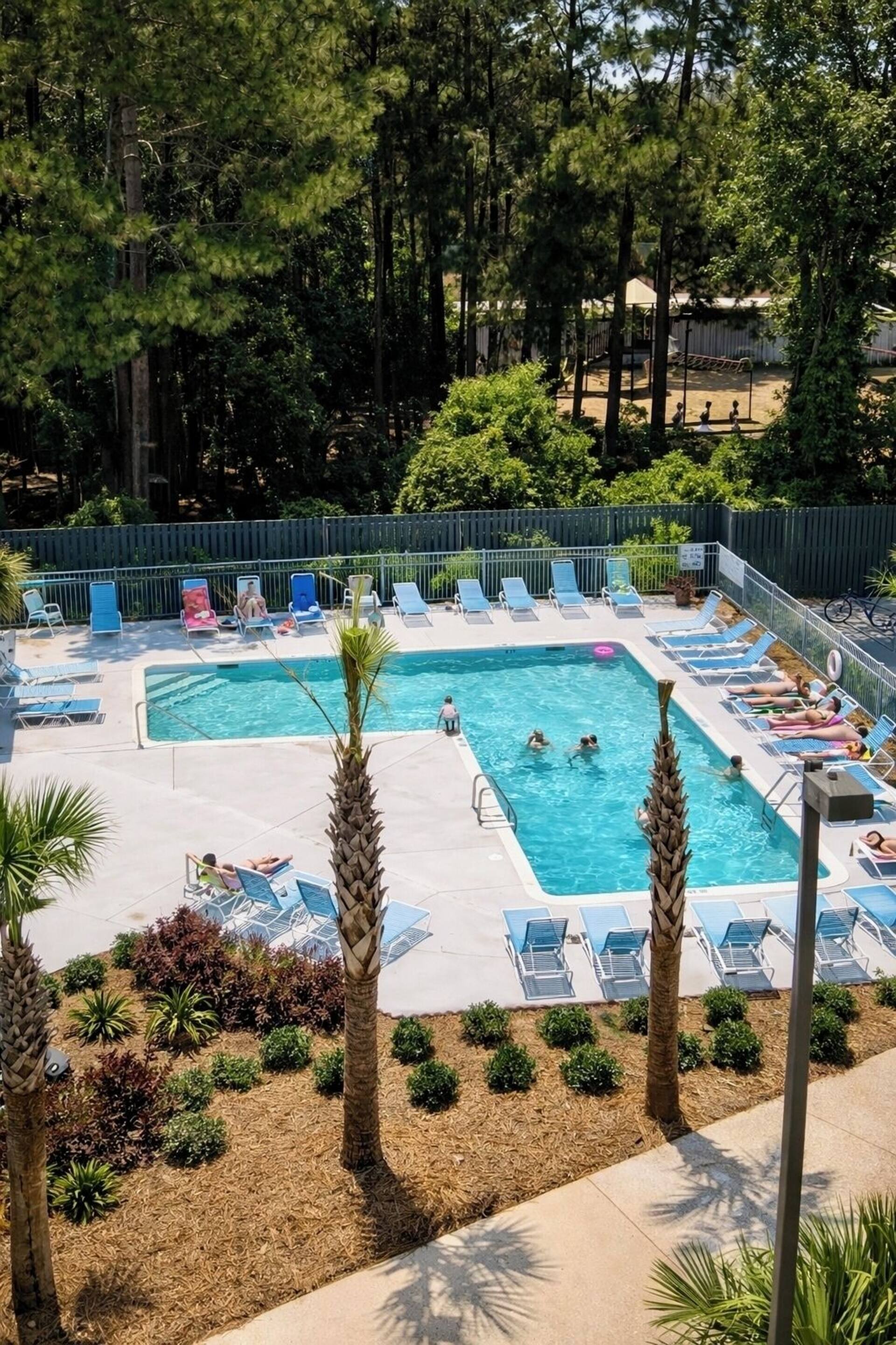 Resort-style pool with loungers, palm trees, and a peaceful wooded backdrop