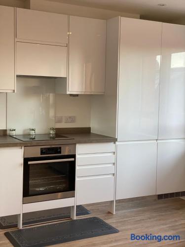 Modern kitchen with sleek white cabinets and built-in appliances