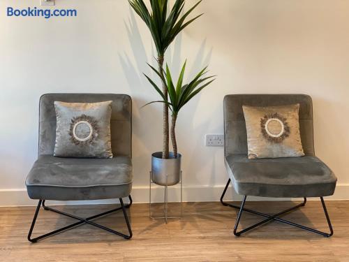 Chic seating nook with modern accent chairs and a stylish indoor plant