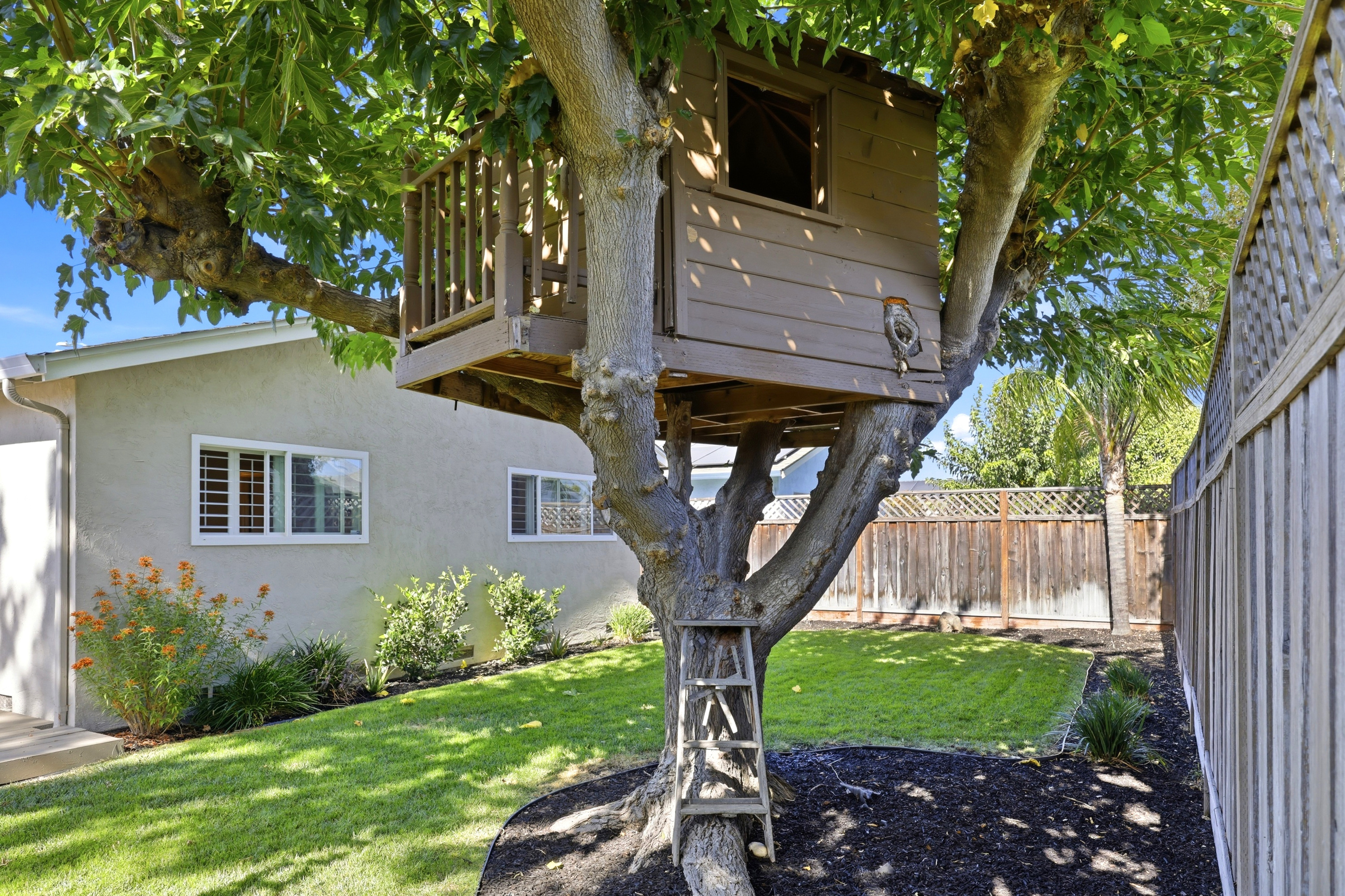 Private backyard with lush lawn and charming treehouse retreat