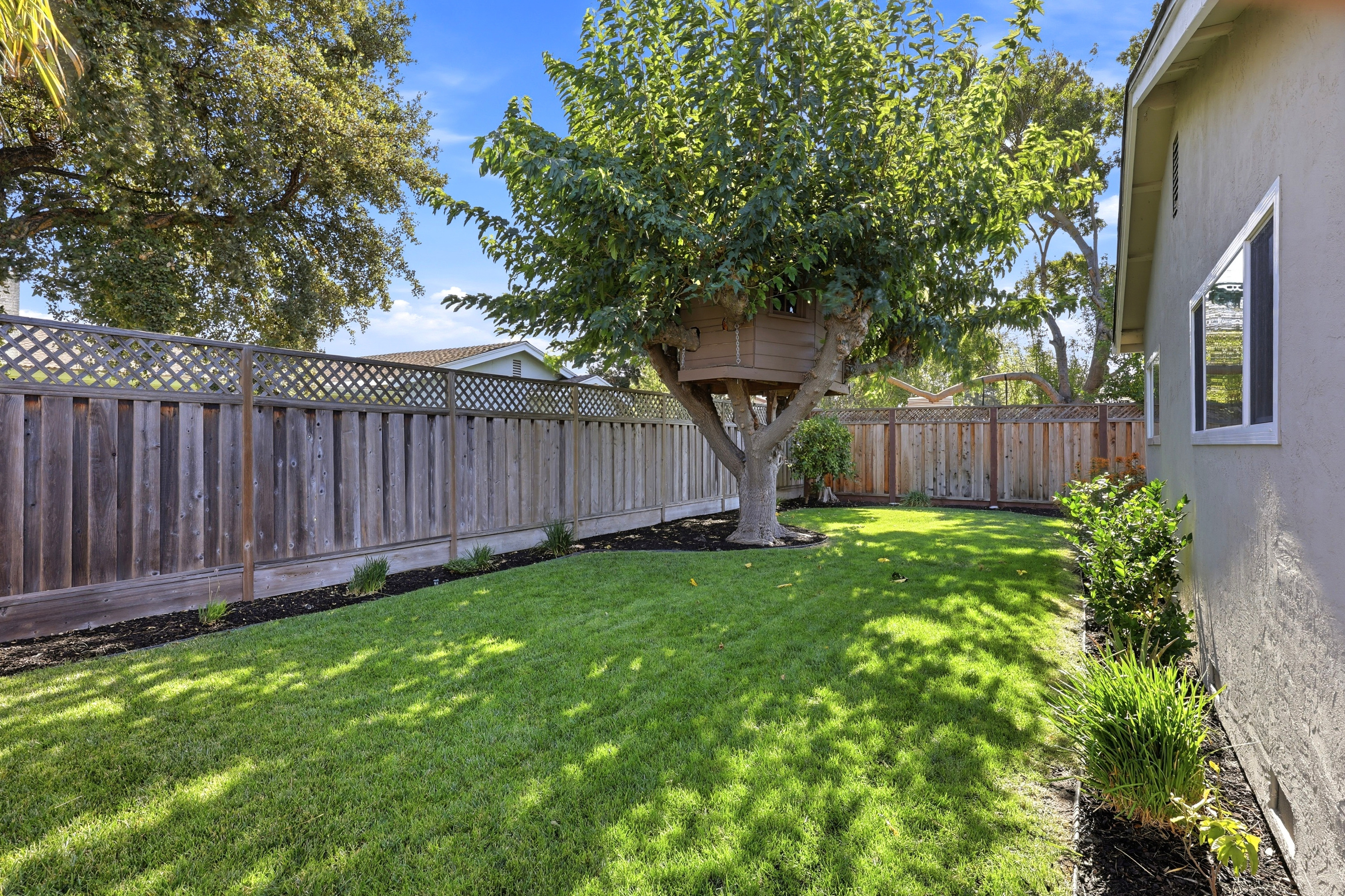 Private fenced backyard with lush lawn and charming treehouse feature